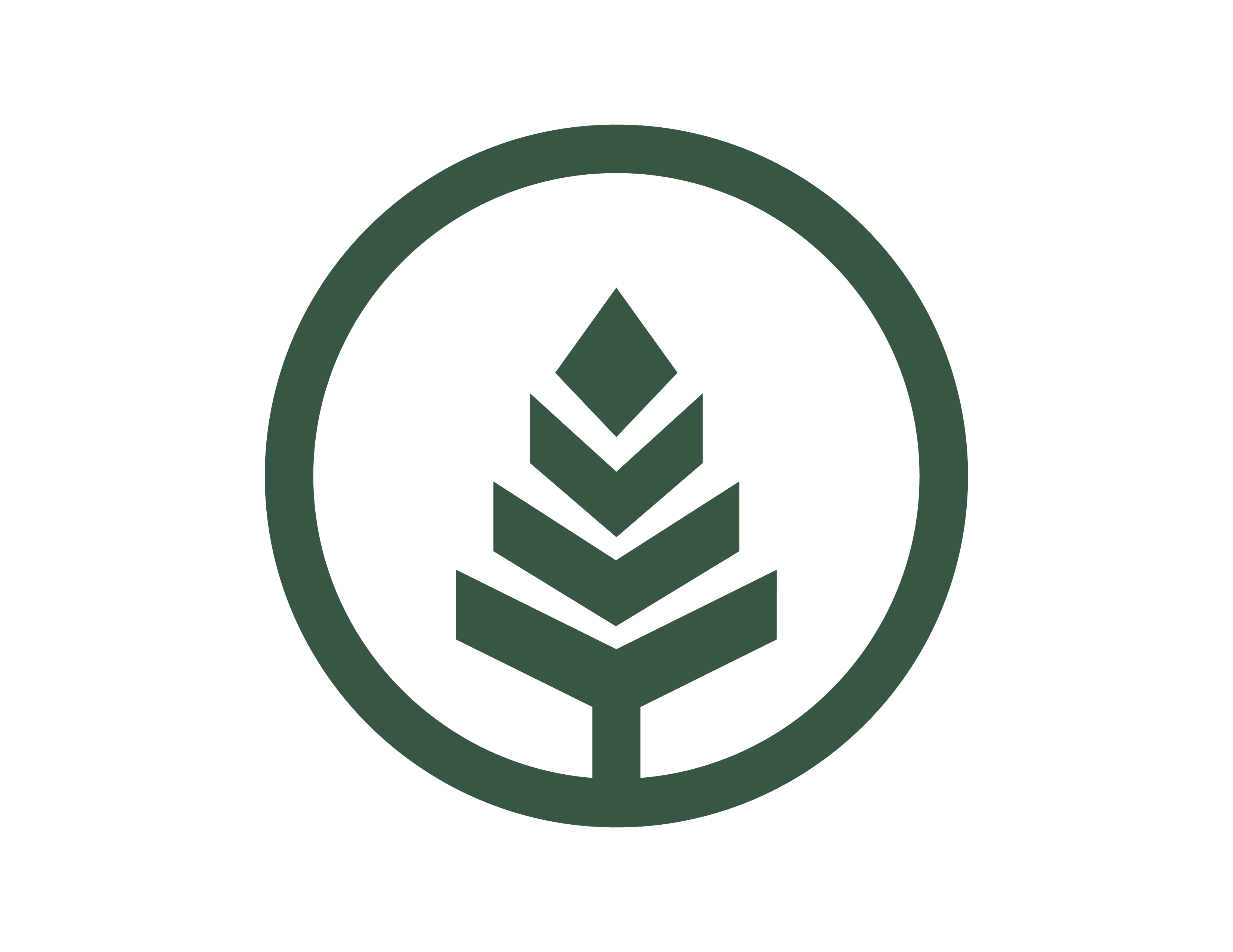 Pine and Star THC Drinks green icon